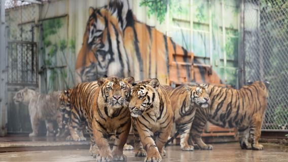 대련·여순 겨울맞이 한정 프로모션 – 한국어 가이드 동행 프라이빗 데이투어