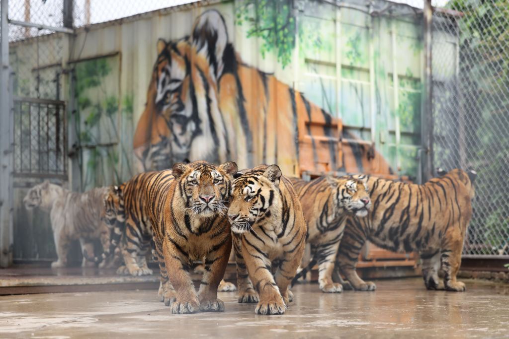 대련·여순 겨울맞이 한정 프로모션 – 한국어 가이드 동행 프라이빗 데이투어