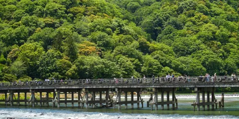 【9人小團】嵐山+金閣寺+清水寺+伏見稻荷大社一日遊
