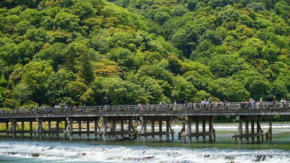 Arashiyama + Fushimi Inari Taisha + Kiyomizu-dera Temple day tour