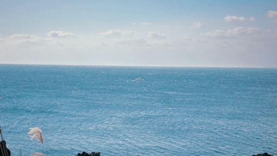 JC (OKA) di Naha, Okinawa, Jepang [layanan antar-jemput/Rencana Perjalanan yang Disesuaikan]
