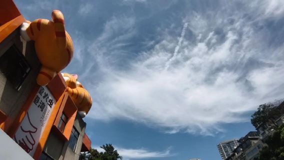 [Chongqing Nanbin Road 1-Day Tour] Firefly Cat Park + Xiahao Old Street + Longmenhao + Yangtze River Cableway