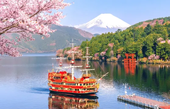 箱根+大涌谷一日遊:贈箱根空中纜車丨山中湖+蘆之湖雙湖之旅