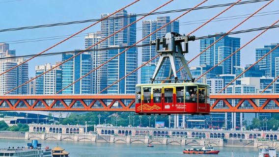 Tour privado personalizado: Lo más destacado de Chongqing en un día