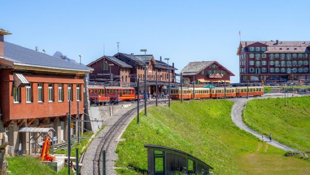 瑞士因特拉肯來回-格林德瓦-少女峰-草甸山坡與高山｜包車專線