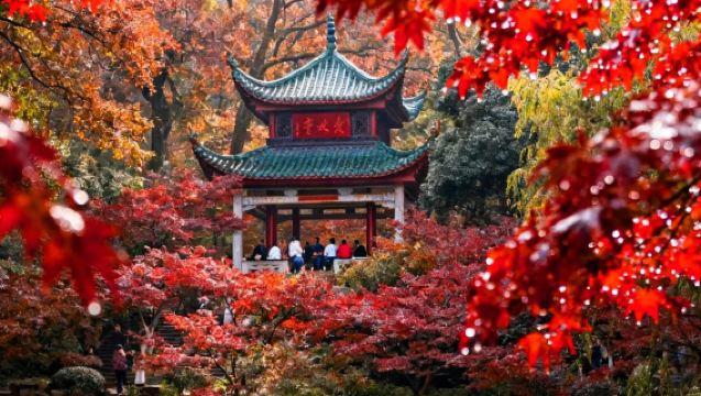 Changsha, China: Customizable Multilingual Itinerary for Yuelu Academy, Autumn-Admiring Pavilion, Orange Island, and South Huangxing Road