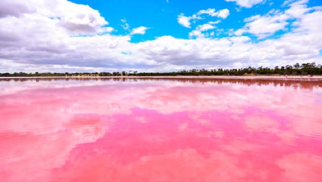 Perth, Australia: Teman Pelancongan | Penterjemah Perniagaan | Penterjemah Pameran | Teman Perniagaan | Teman Lawatan | Sambutan Lawatan Bebas | Teman & Pengangkutan | Penyesuaian Peribadi