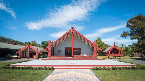 Waitomo glowworm caves + Te Puia geothermal park + Maori culture + Rotorua 16-person group tour Day Tours