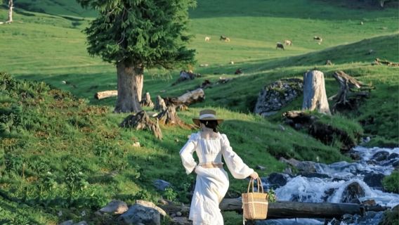 Lawatan Sewa Peribadi: Lawatan Sehari ke Tarikan Utama Ili