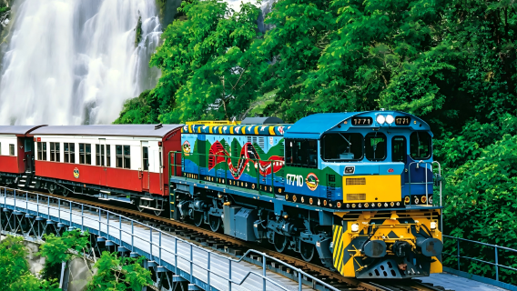 Perjalanan Satu Hari Hutan Hujan Kuranda Cairns [Opsional Makan Malam Wagyu/Pelukan Koala/Transfer Bahasa Mandarin]