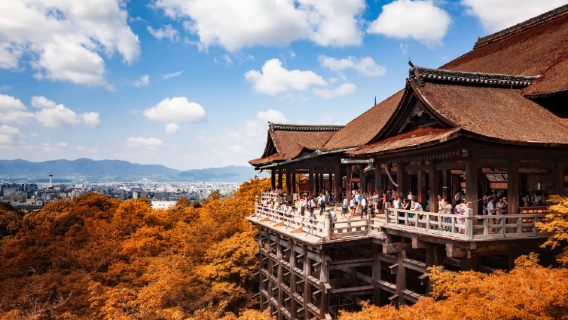 Traduction professionnelle dans tout le Japon/Traduction pour salons et affaires/Guide touristique accompagnateur/Guide pour accompagnement médical/Voiture avec chauffeur sur mesure