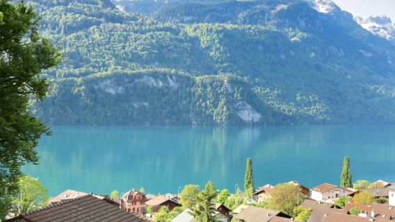 Depart from Zurich | Lucerne + Spiez lake and mountain views - admission ticket not included [one-way pick-up/drop-off available]