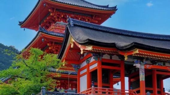 日本大阪來回宇治+奈良-鴨川-三年坂（產寧坂）-私享行