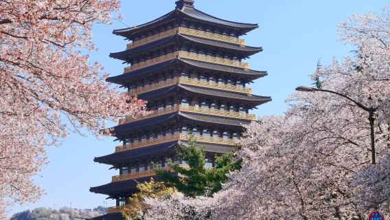 Gyeongju Daerah Metropolitan Layanan Bahasa Mandarin sewa kendaraan pribadi wisata Cheomseongdae/Tumuli Kerajaan Donggung dan Kolam Wolji