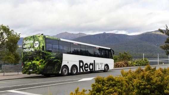 Passeio de um dia em Milford Sound com RealNZ na Nova Zelândia | Partida de Queenstown ou Te Anau
