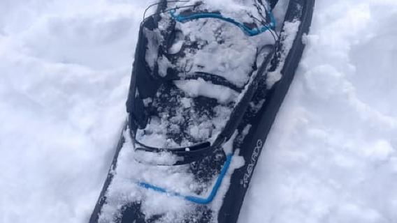Vienna: Relaxed Alpine Snowshoe Experience Guide & Transfer