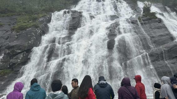 Bergen: Mostraumen Fjord Cruise, Mt Fløyen, City Sightseeing