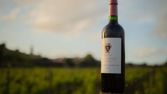 Saint-Émilion: Bordeaux Vineyard Tour and Wine Tasting