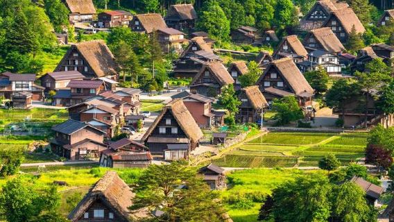 Tour di un giorno a Hida Takayama + Villaggi storici di Shirakawa-go e Gokayama | Partenza da Nagoya | Opzione con osservatorio panoramico&
