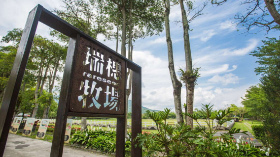 однодневный тур поездка к озеру Хуалянь-Лиюй, исторической тропе горы Линьтянь и ранчо Жуйсуй