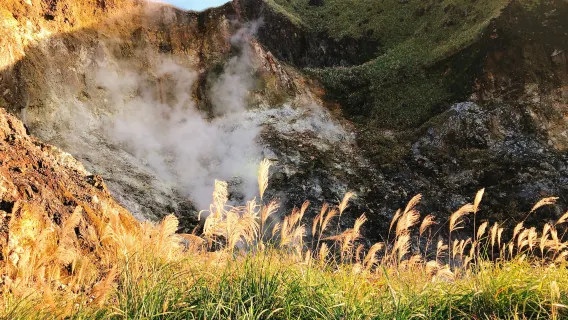 Museo delle Terme di Beitou + Biblioteca di Beitou + tour di un giorno al Parco nazionale Yangmingshan [Partenza garantita]