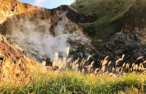 北投溫泉博物館+北投圖書館+陽明山國家公園一日遊【保證出團】