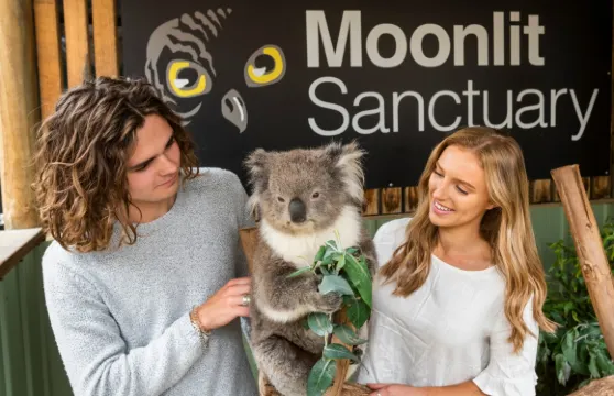 墨爾本企鵝歸巢+月光保護區+布萊頓海灘彩虹小屋一日遊