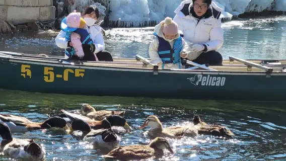 慶州國民療愈公園+大邱冰凍仙境宋海公園冰壁 (或) 琵瑟山自然休養林+西門市場日遊 (釜山出發, 冬季限定)