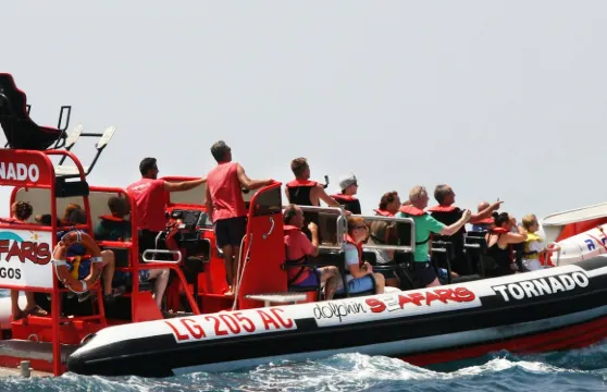 阿爾加維：導賞觀豚團