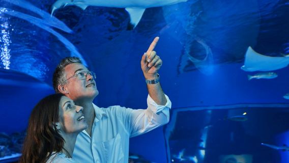 Cairns Aquarium: ingresso serale + cena da 2 portate