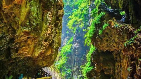 昆明九鄉純玩一日遊【二環接◆可選新路線◆一手地接◆一價全含】