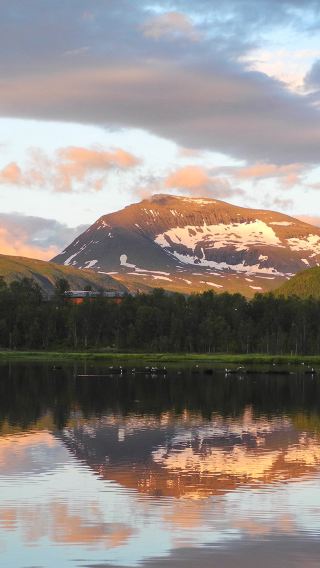 Polaria + Fjellheisen + Tromso Fjords + Tromso Cable Car Private Charter