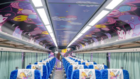 Билет в одну сторону/в один конец Тайбэй-Тайнань: экскурсионный поезд по острову