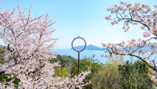 Ine Bay Cruise · Ine Boat Houses · Amanohashidate · Abalone Seafood Hot Pot Lunch | Departing from Osaka/Kyoto