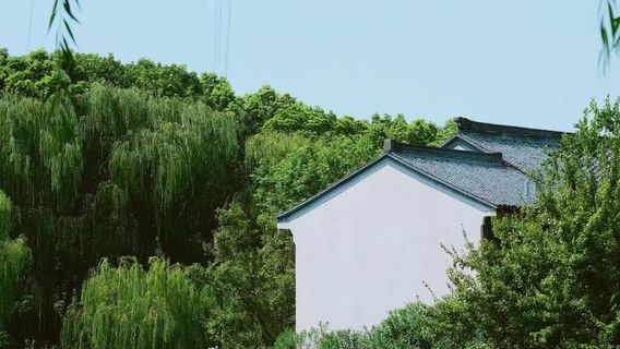 JiaxingTours