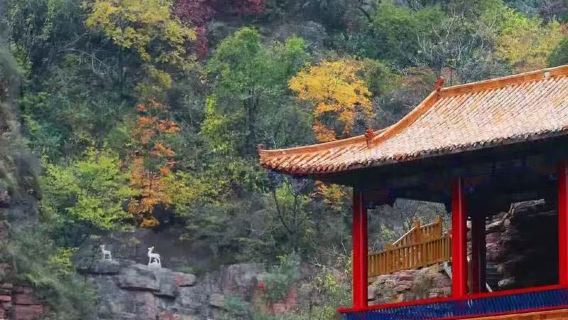邯鄲日遊