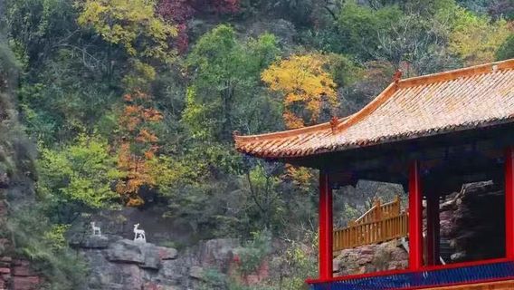 武安日遊