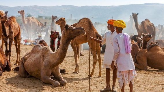 JaipurTours