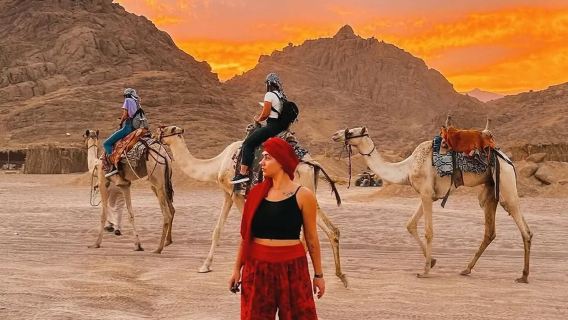 Experience an Unforgettable Desert Safari in Hurghada with show and BBQ Dinner