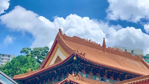 Hong KongTours
