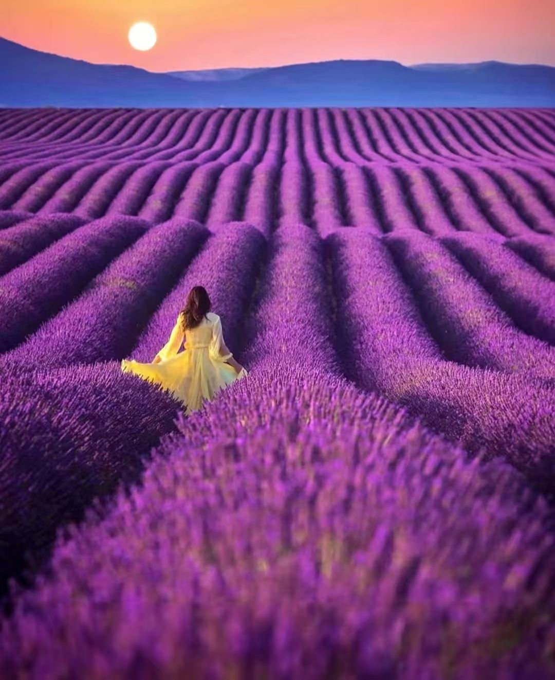 普羅旺斯特色小鎮+索村+魯西永+塞南克修道院/浪漫薰衣草之都