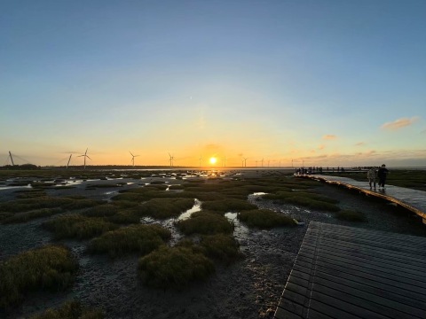 Tour trong ngày Đài Trung: Chợ hoa Trung Xã + Mắt kính Miyahara + Vùng đất ngập nước Cao Mỹ [Xuất ph
