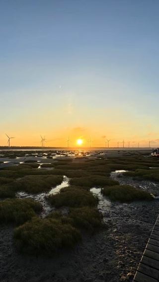 Taichung Gaomei Wetlands + Zhongshe Flower Market + Miyahara 1-day tour - free bubble tea or ice | Depart from Taipei