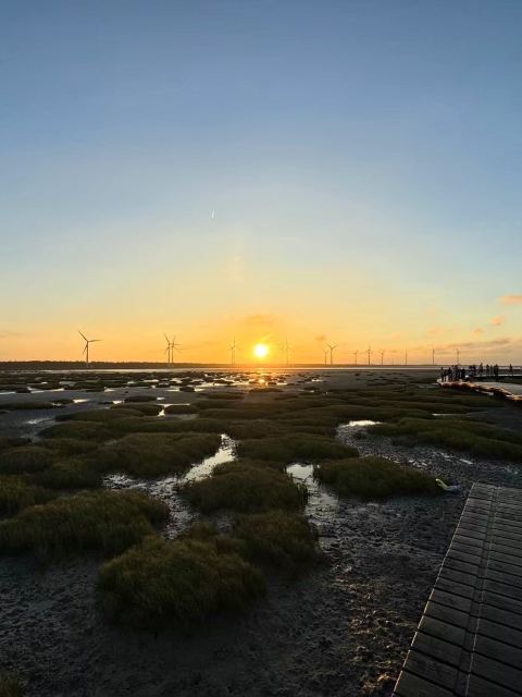 台中高美濕地+中社花市+宮原眼科一日遊-贈珍奶或冰|台北出發