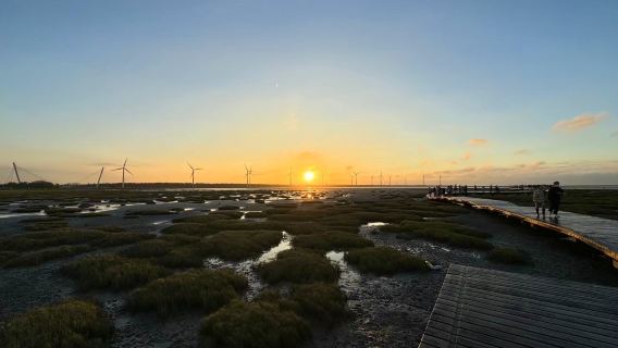 Taichung Gaomei Wetlands + Zhongshe Flower Market + Miyahara 1-day tour - free bubble tea or ice | Depart from Taipei