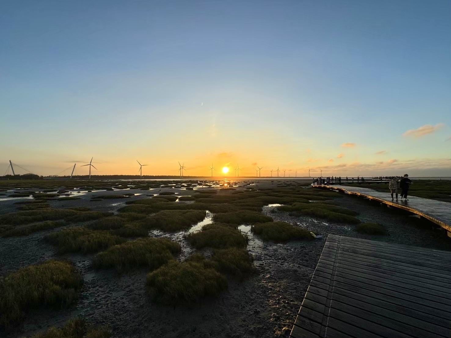 台北発｜台中・中社花市場＋宮原眼科＋高美湿地　日帰りツアー｜タピオカミルクティー付き