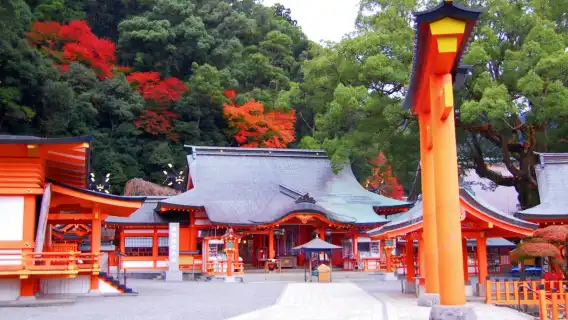 Kumano Kodo one-day tour with Private Car |Freely customize your itinerary