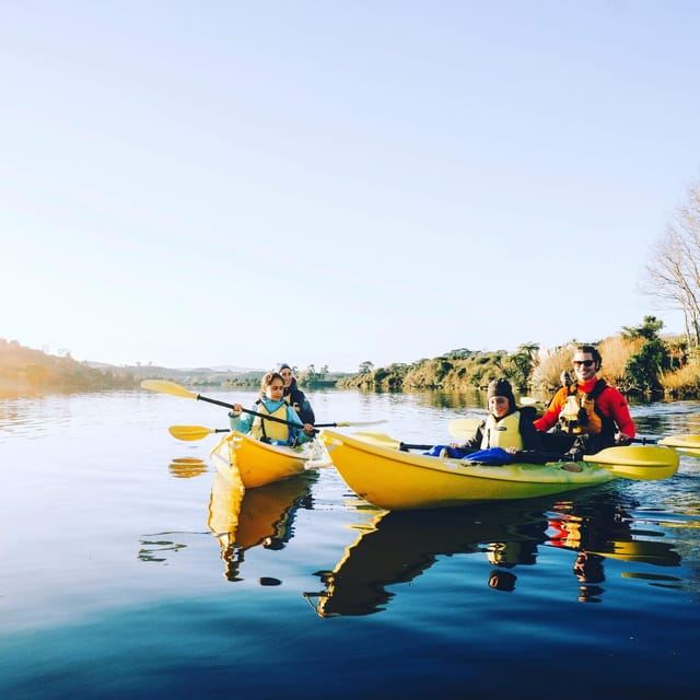 Lake Karapiro: Evening Kayak Glowworm Tour