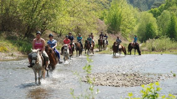 Marmaris: Horse Riding & Safari with Hotel Transfer
