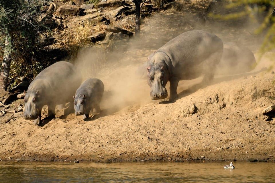 Windhoek: Perjalanan Wisata Dustenbrook Scenic